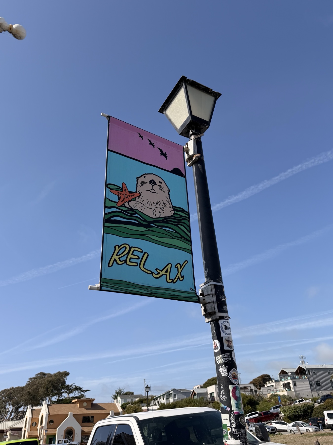 A sea-otter banner that says relax